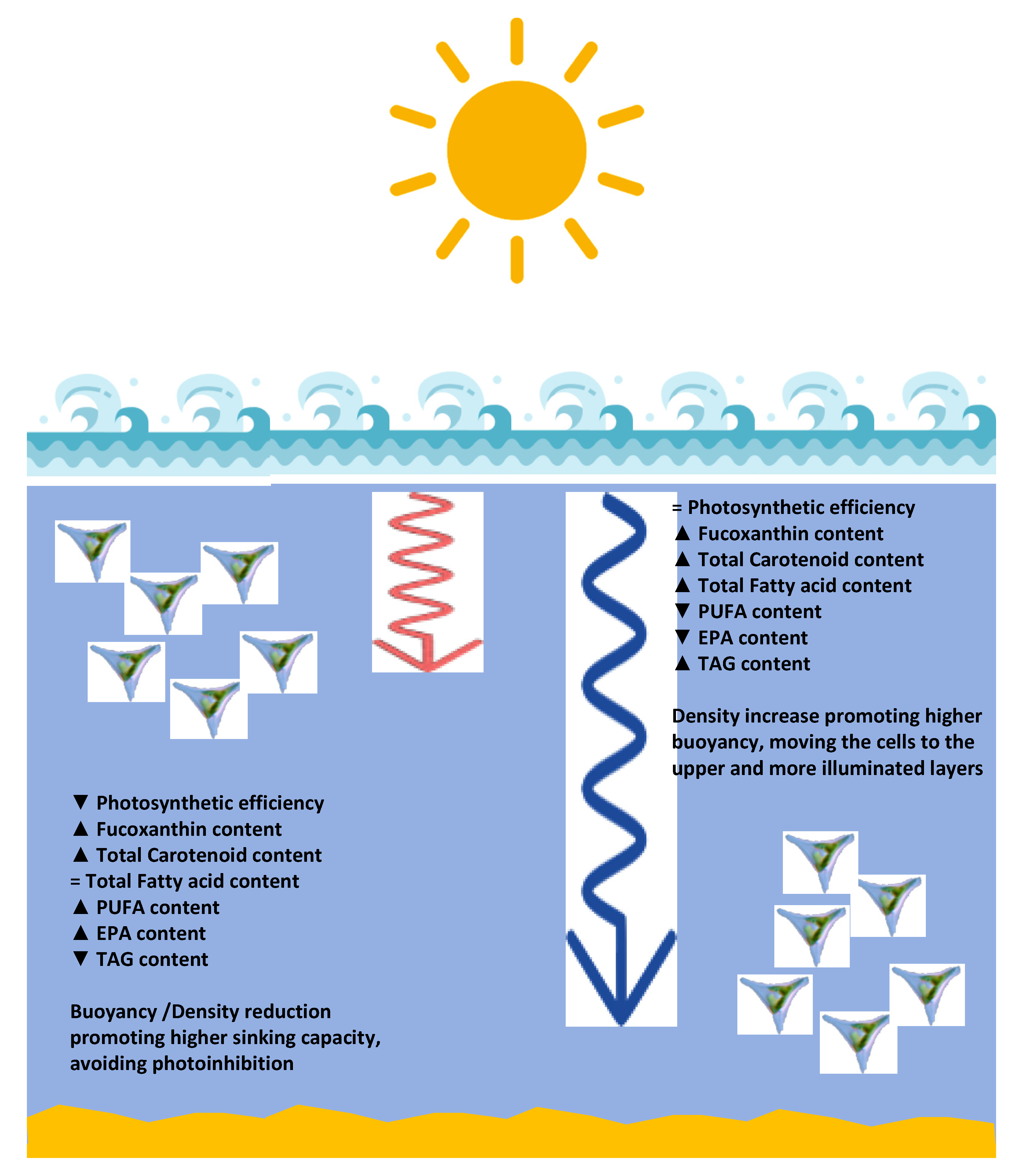 Applsci 11 02550 g011