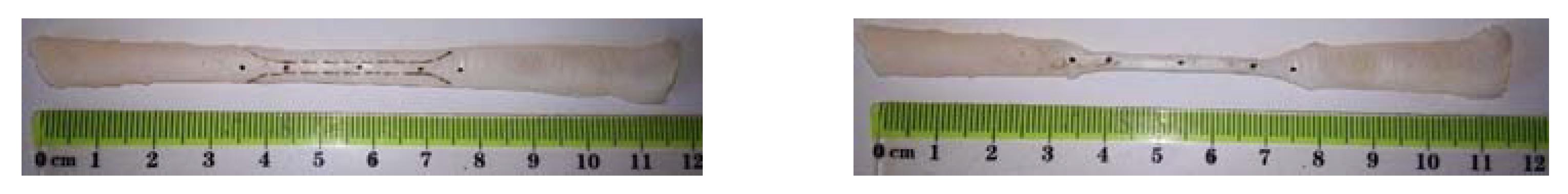 Applsci 11 02563 g004 Applsci 11 02563 g004