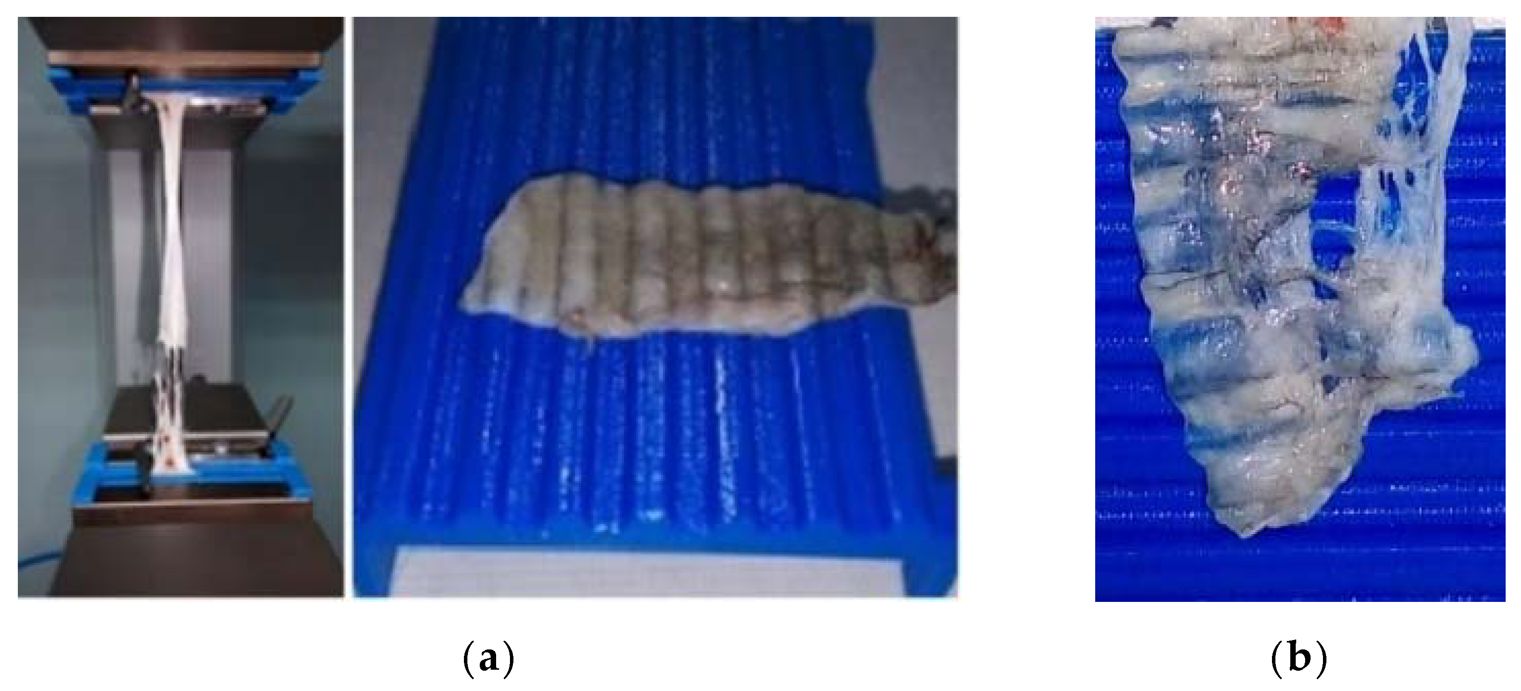 Applsci 11 02563 g006 Applsci 11 02563 g006