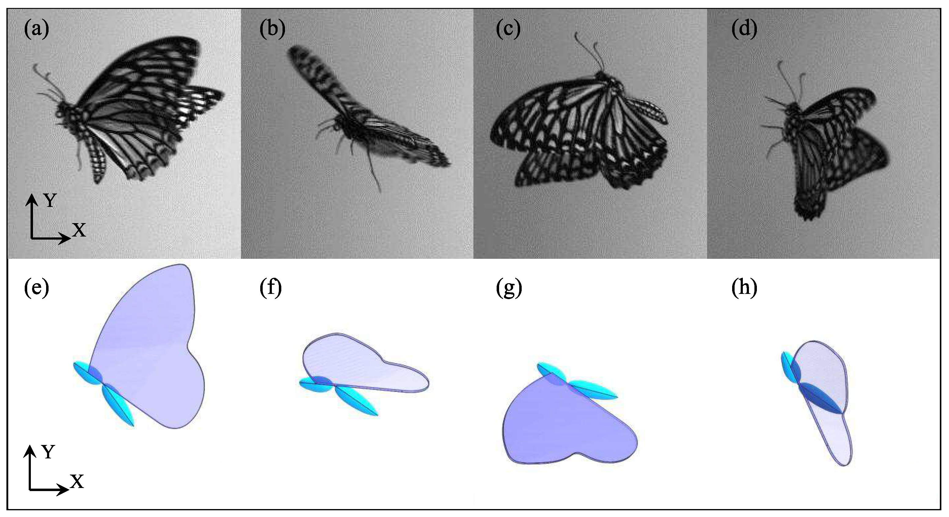 Applsci 11 02620 g003 Applsci 11 02620 g003
