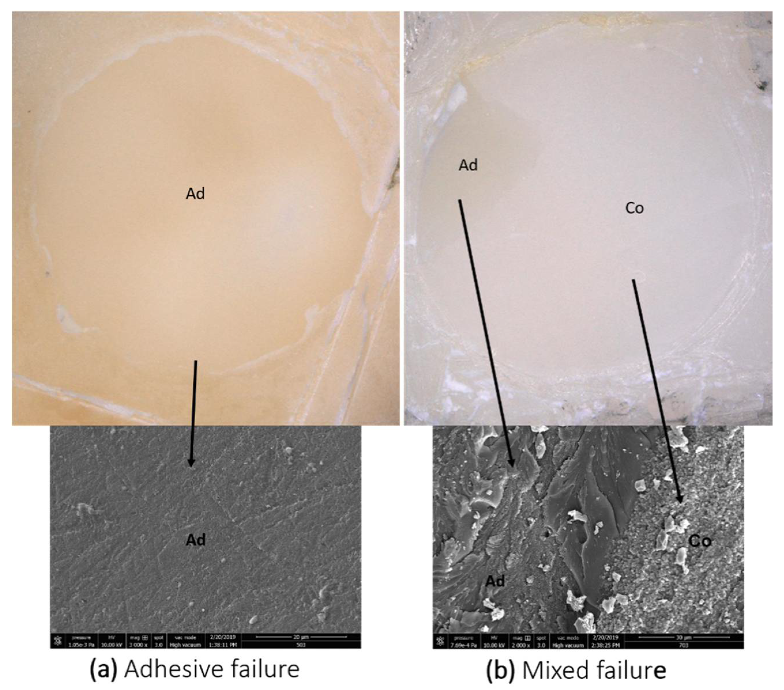 Applsci 11 02635 g002