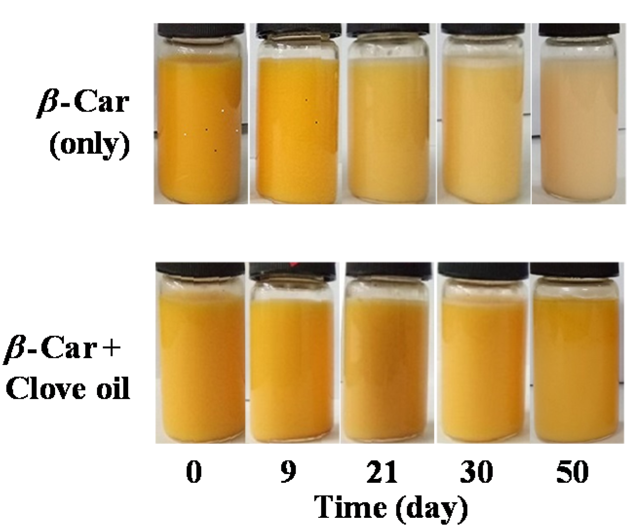 Applsci 11 02667 g001 Applsci 11 02667 g001