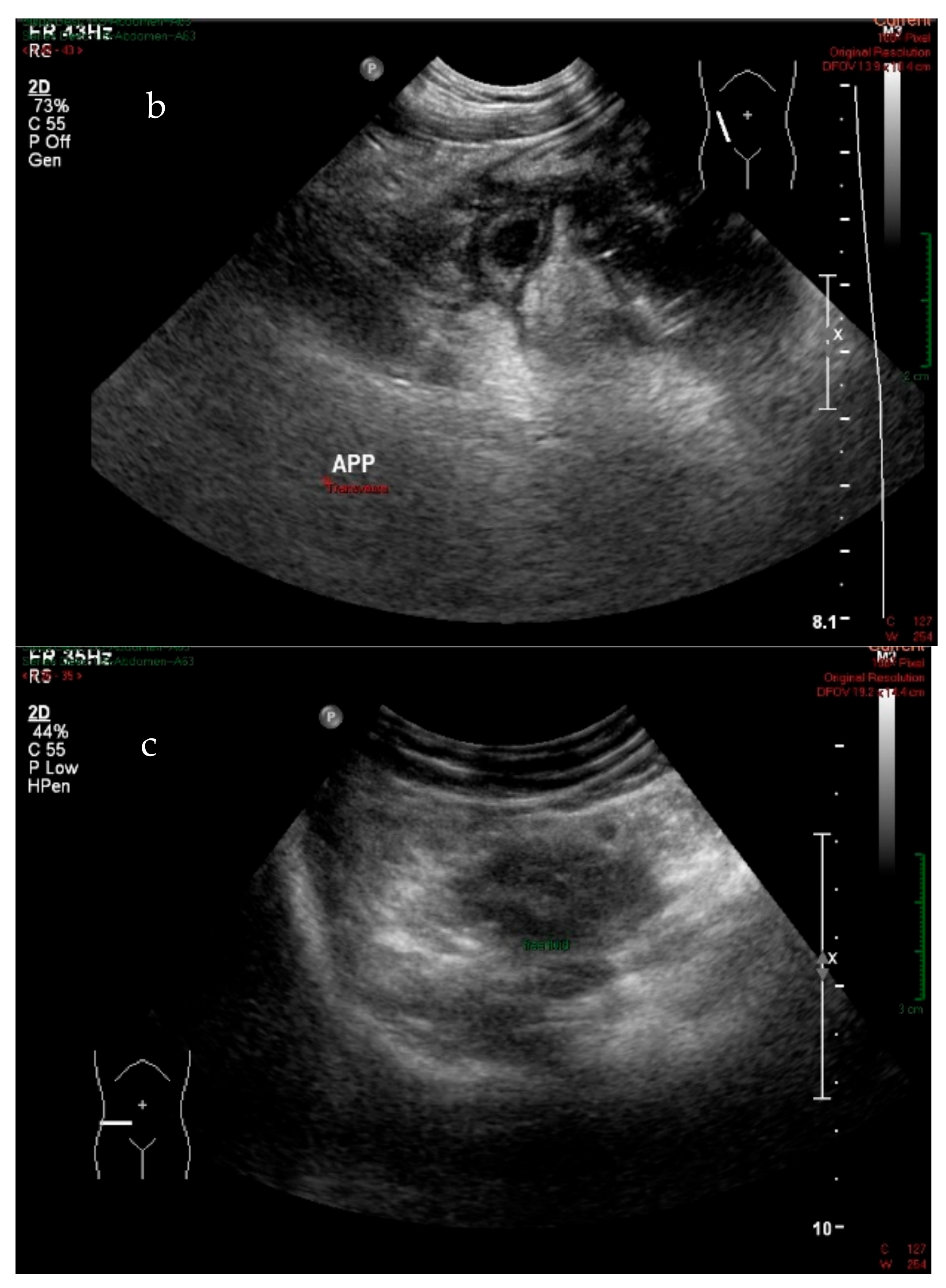Applsci 11 02682 g004b Applsci 11 02682 g004b