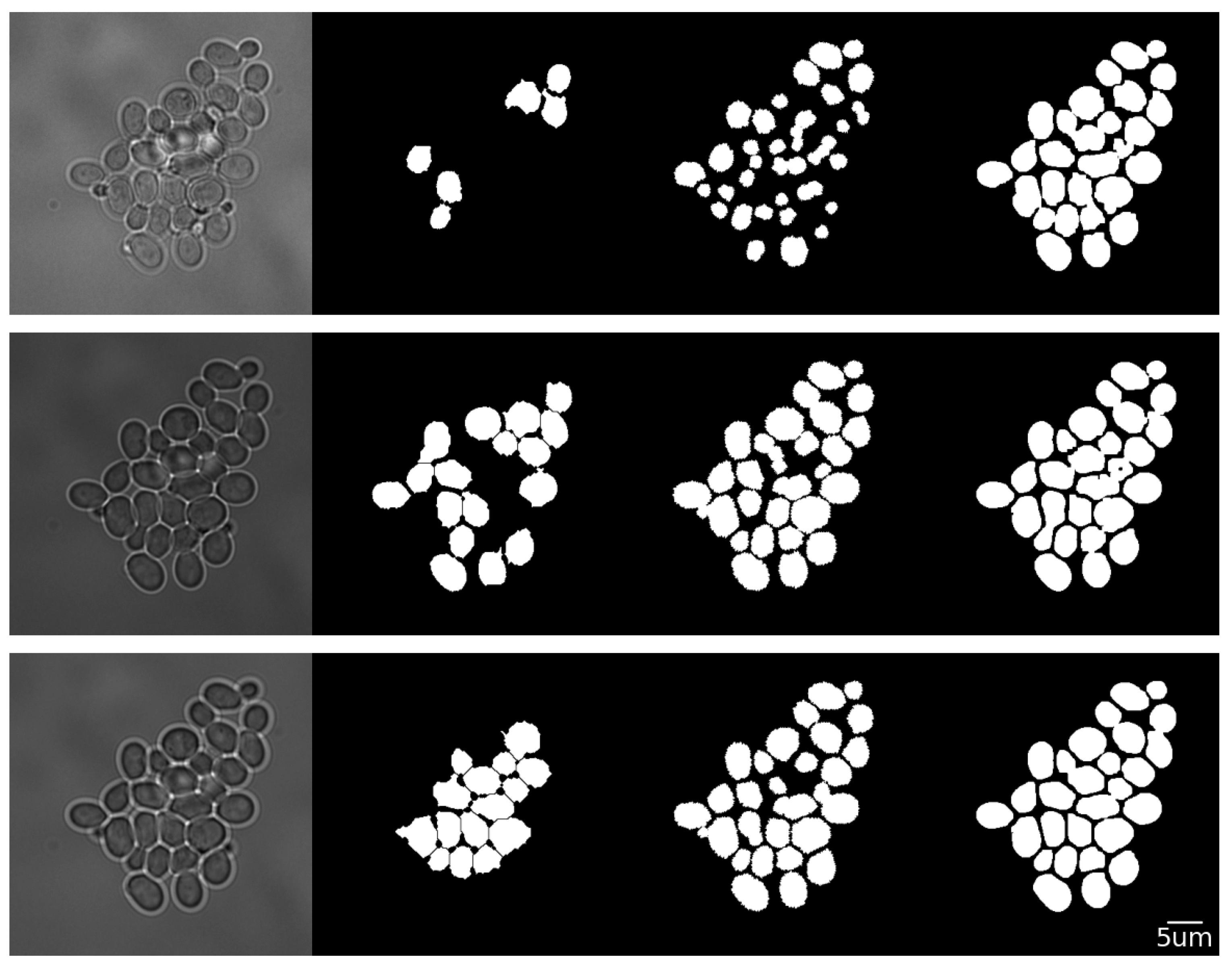 Applsci 11 02692 g005