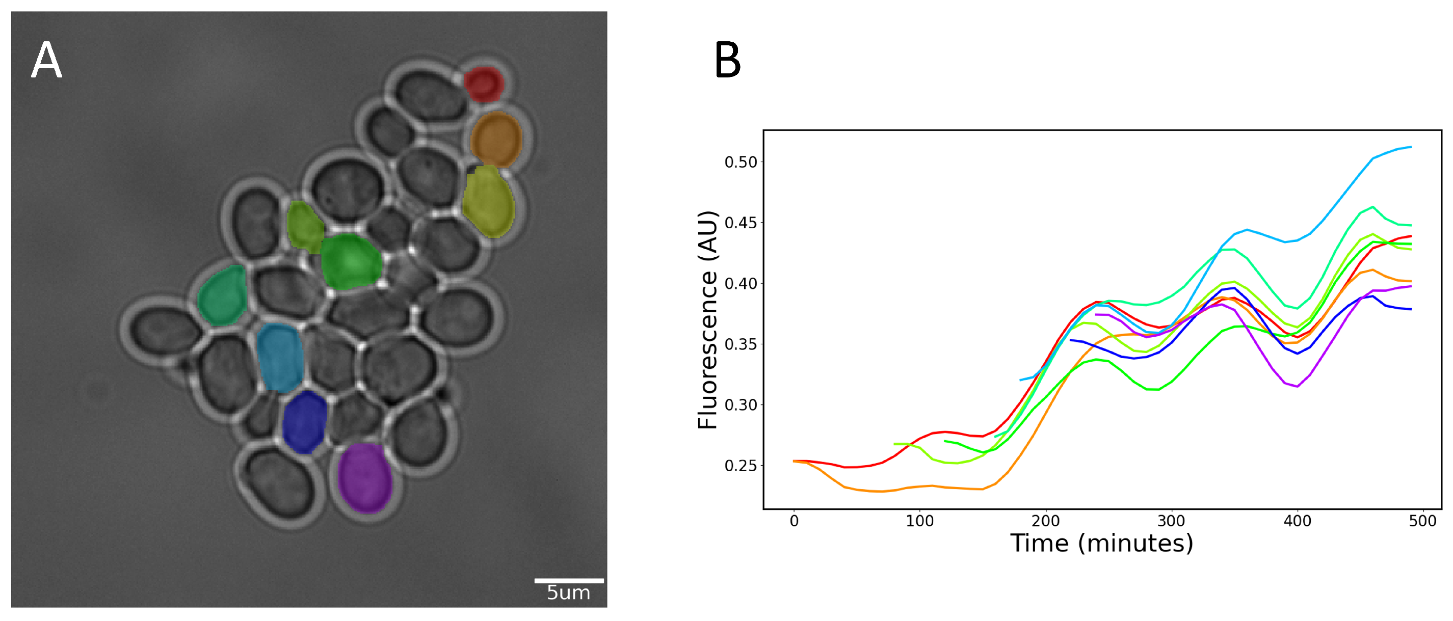 Applsci 11 02692 g006