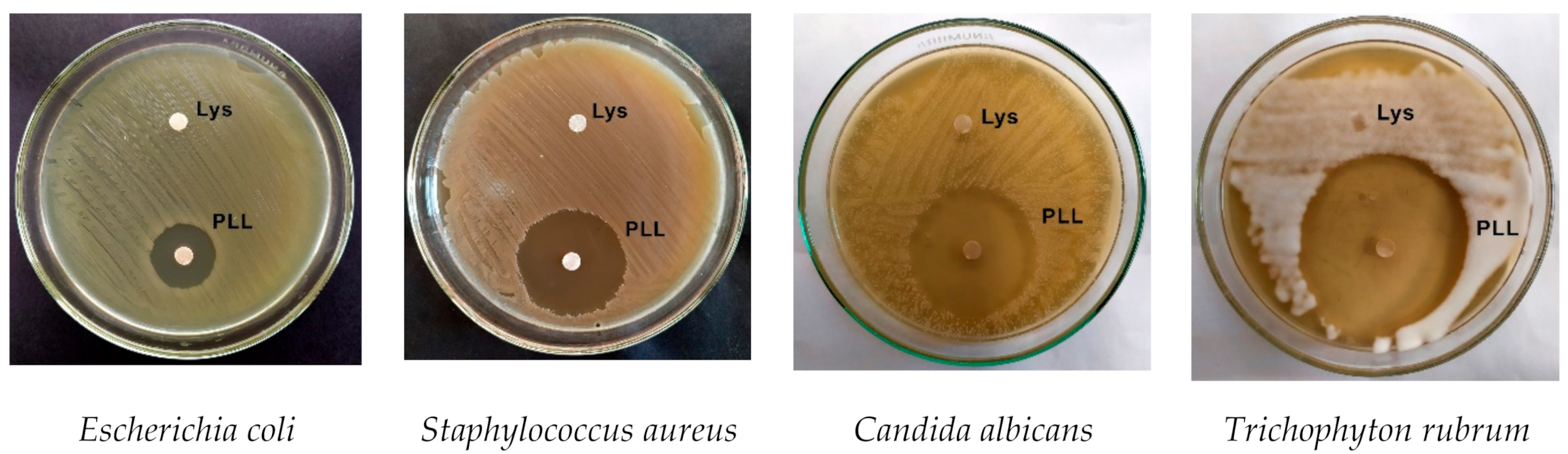 Applsci 11 02708 g001 Applsci 11 02708 g001