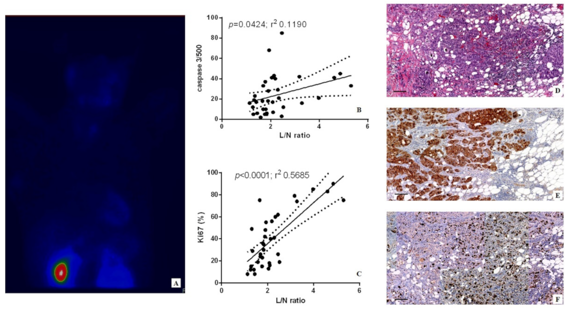 Applsci 11 02733 g001 Applsci 11 02733 g001