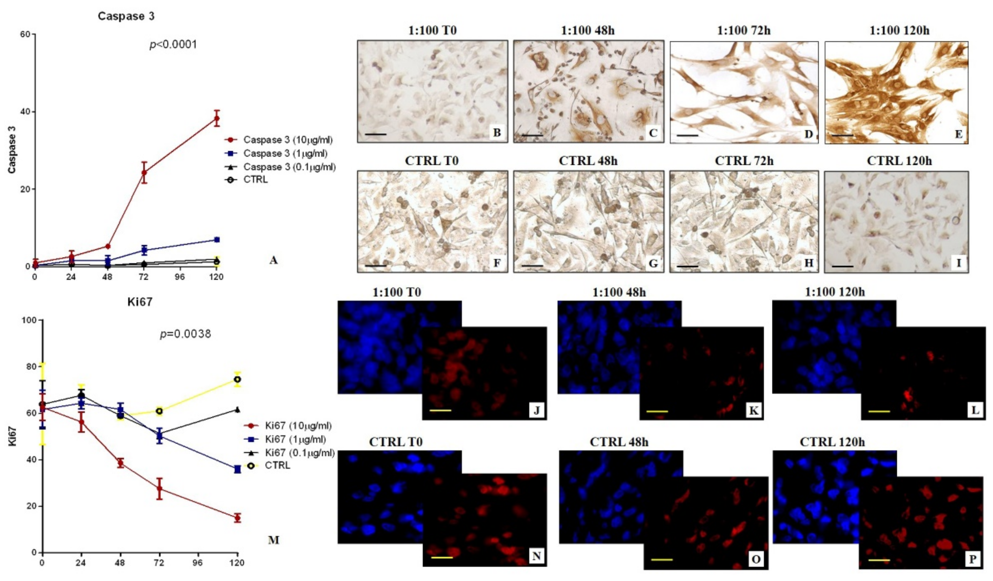 Applsci 11 02733 g002 Applsci 11 02733 g002