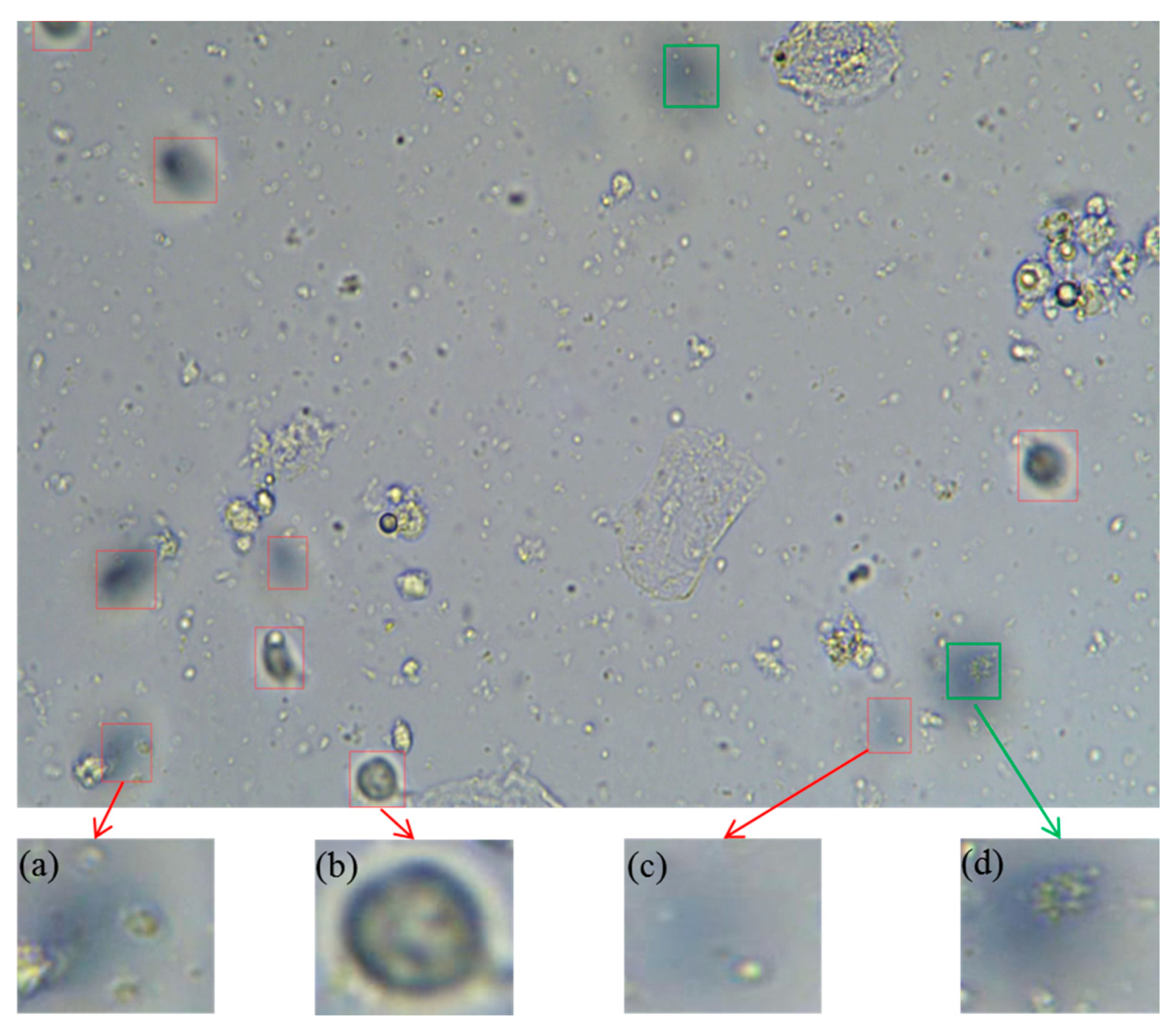 Applsci 11 02738 g001