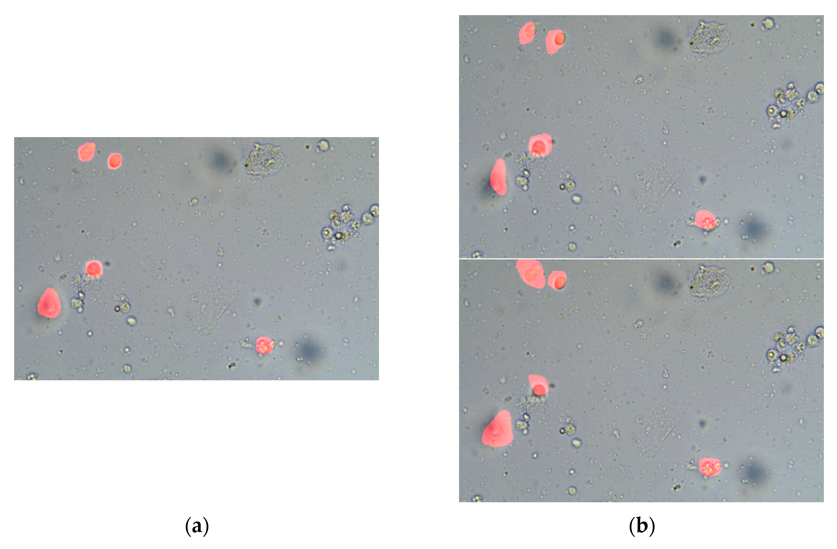 Applsci 11 02738 g004