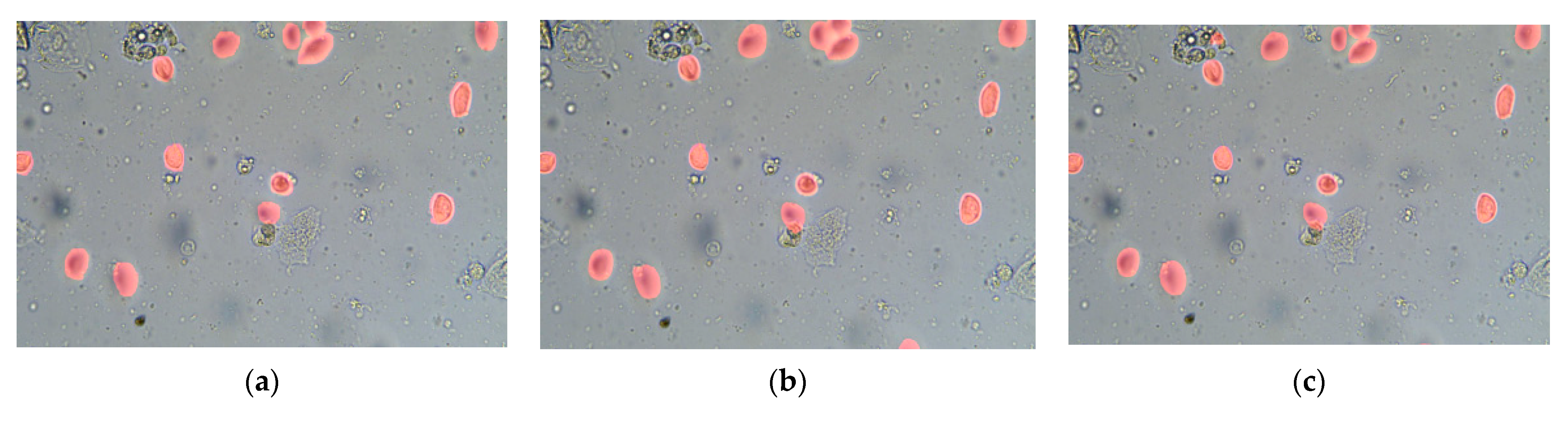 Applsci 11 02738 g007