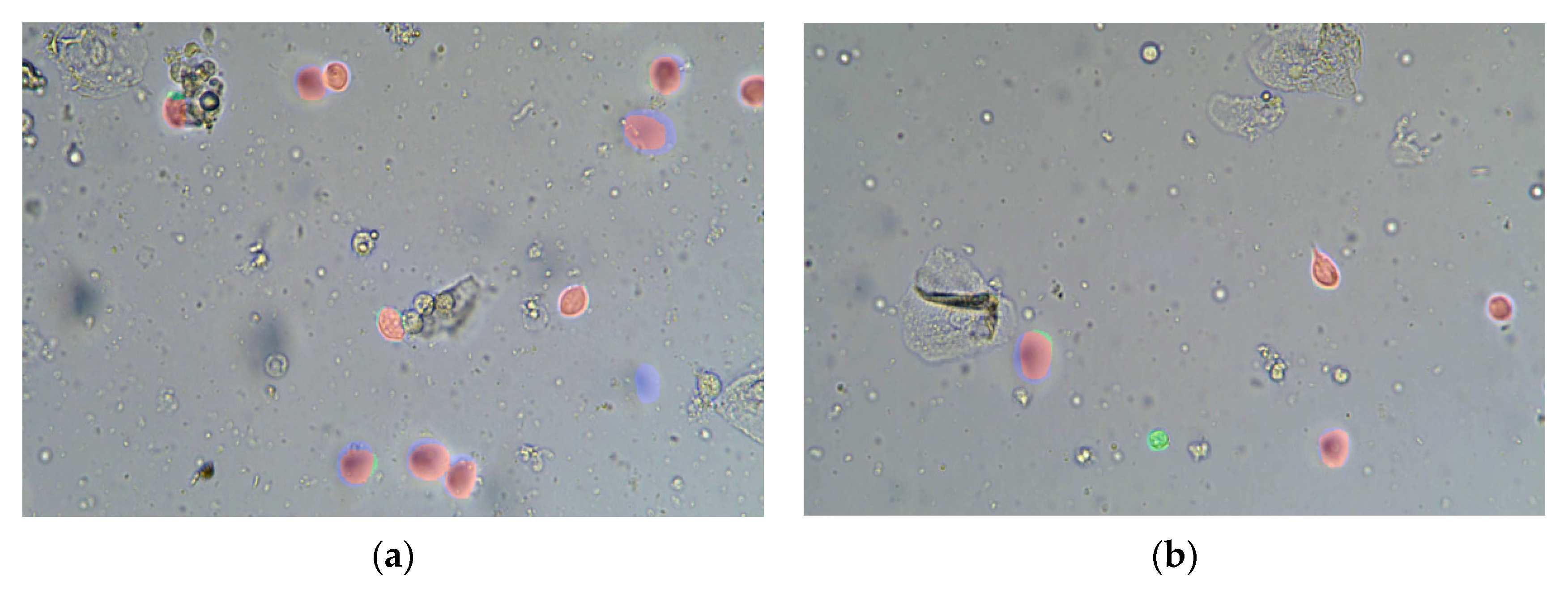 Applsci 11 02738 g009