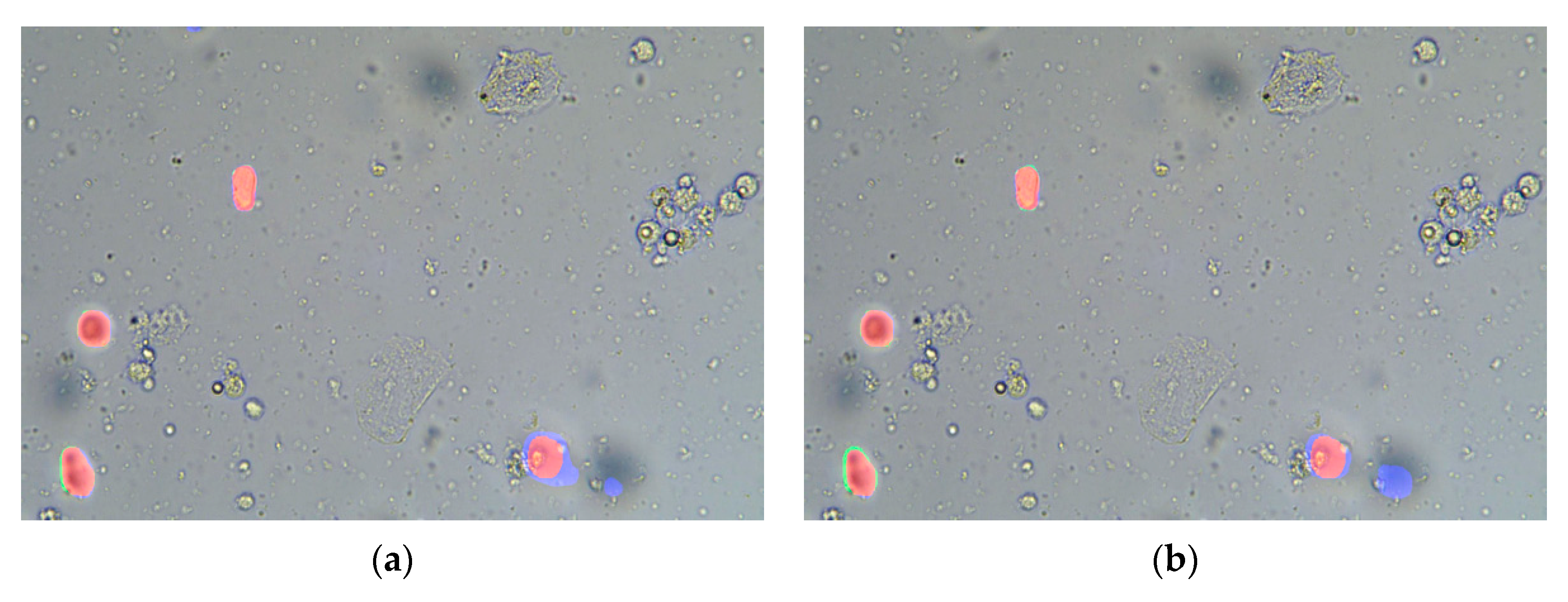 Applsci 11 02738 g010