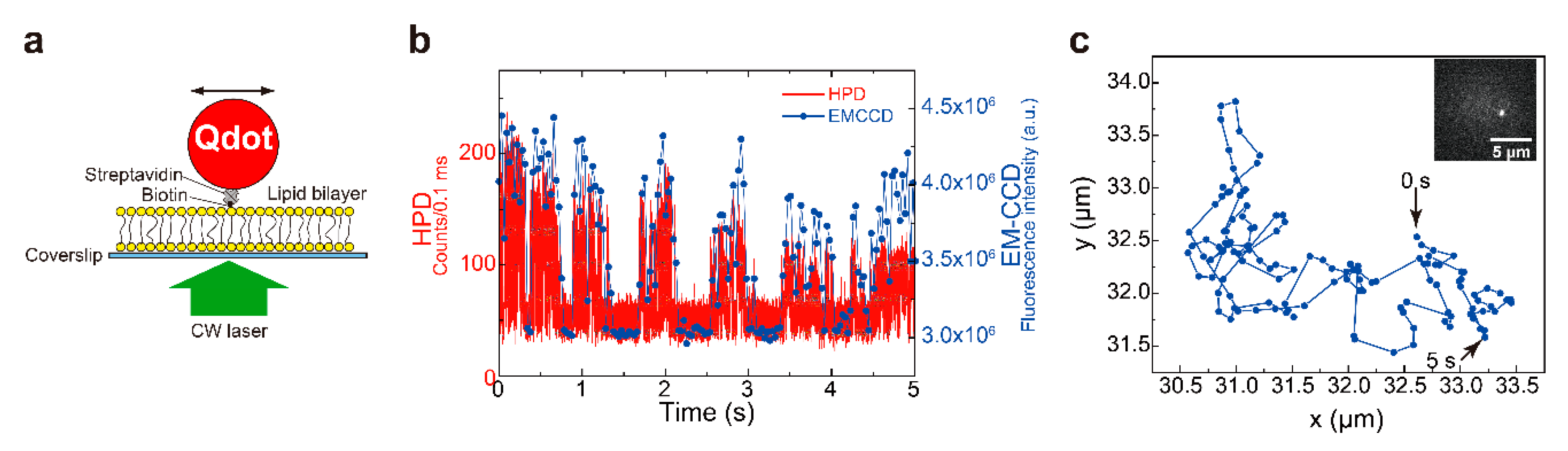 Applsci 11 02773 g015