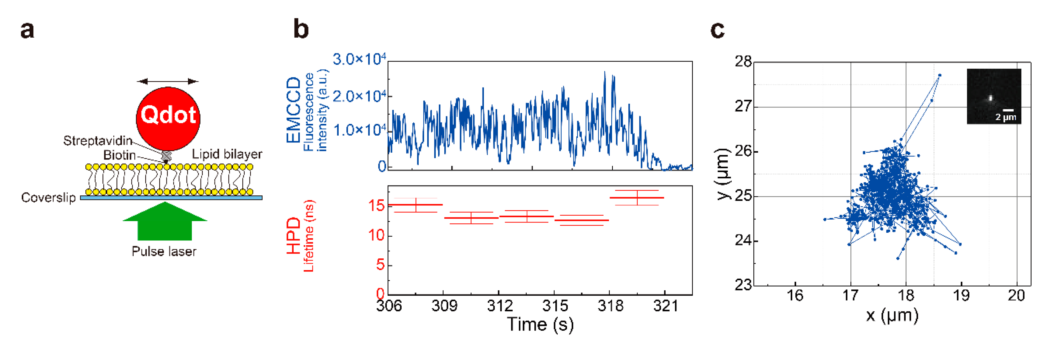 Applsci 11 02773 g016