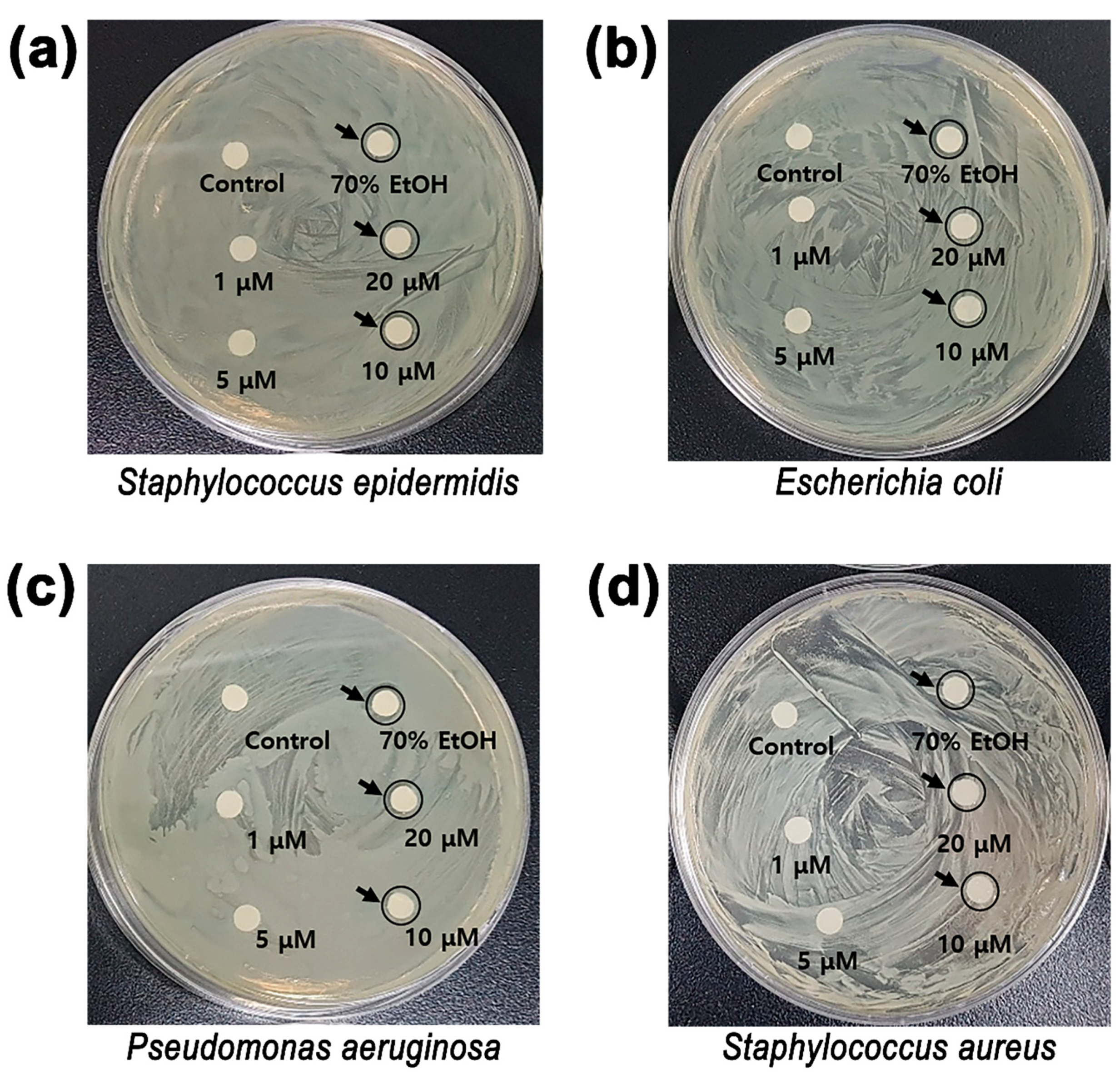 Applsci 11 02774 g006 Applsci 11 02774 g006