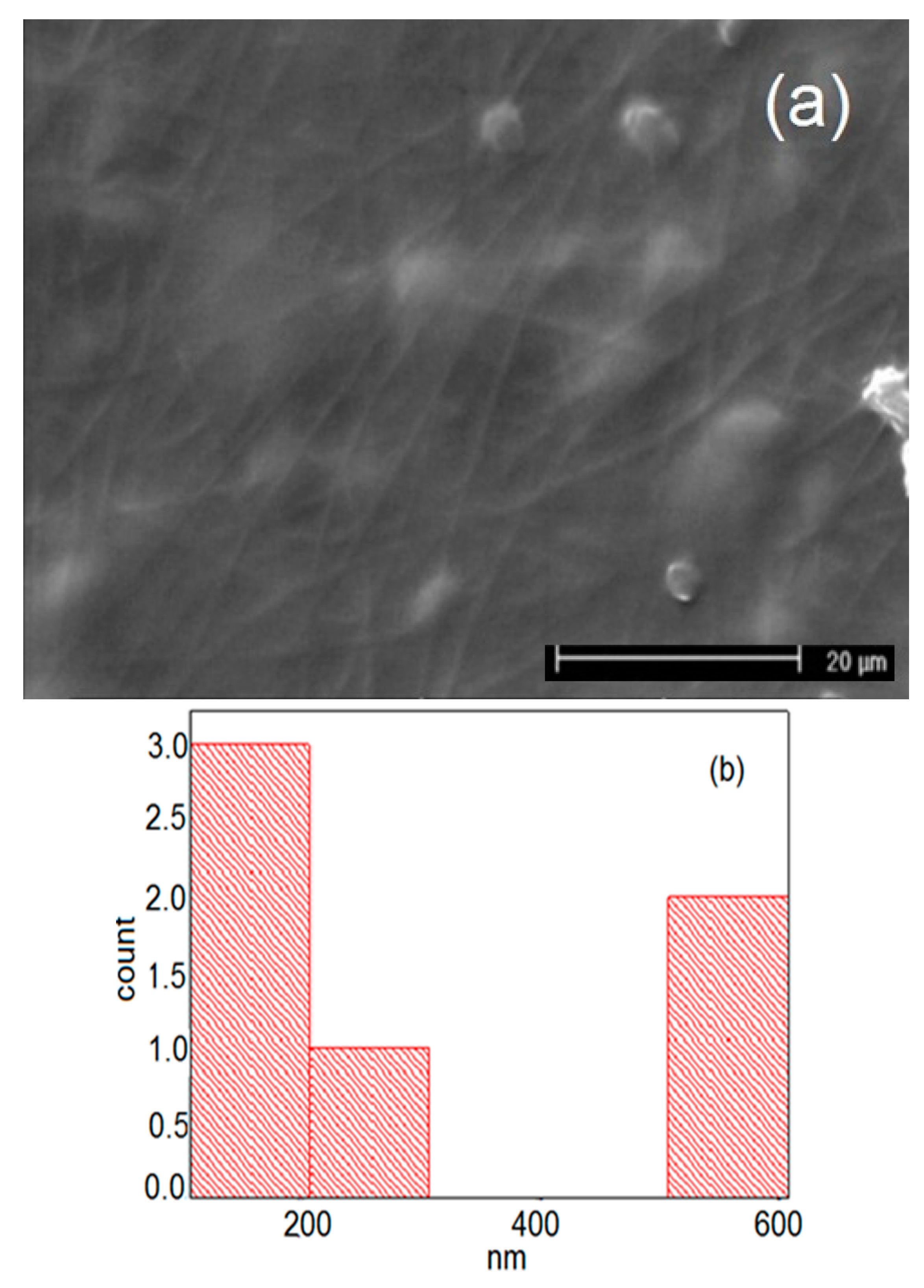 Applsci 11 02779 g006