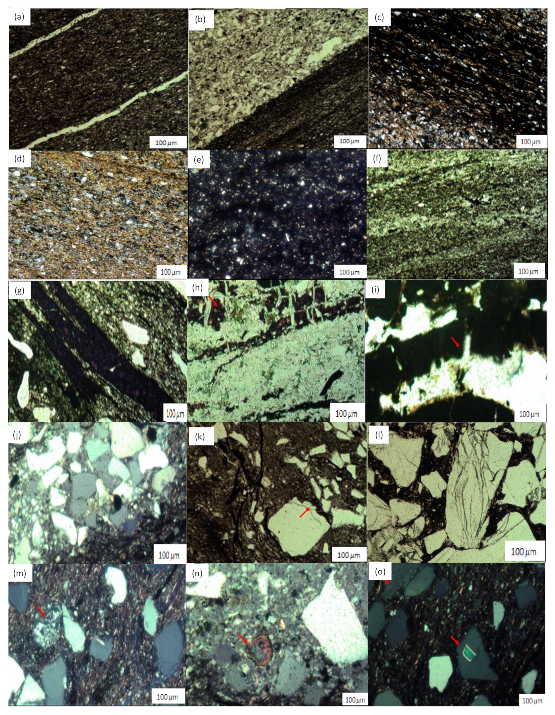 Applsci 11 02782 g005