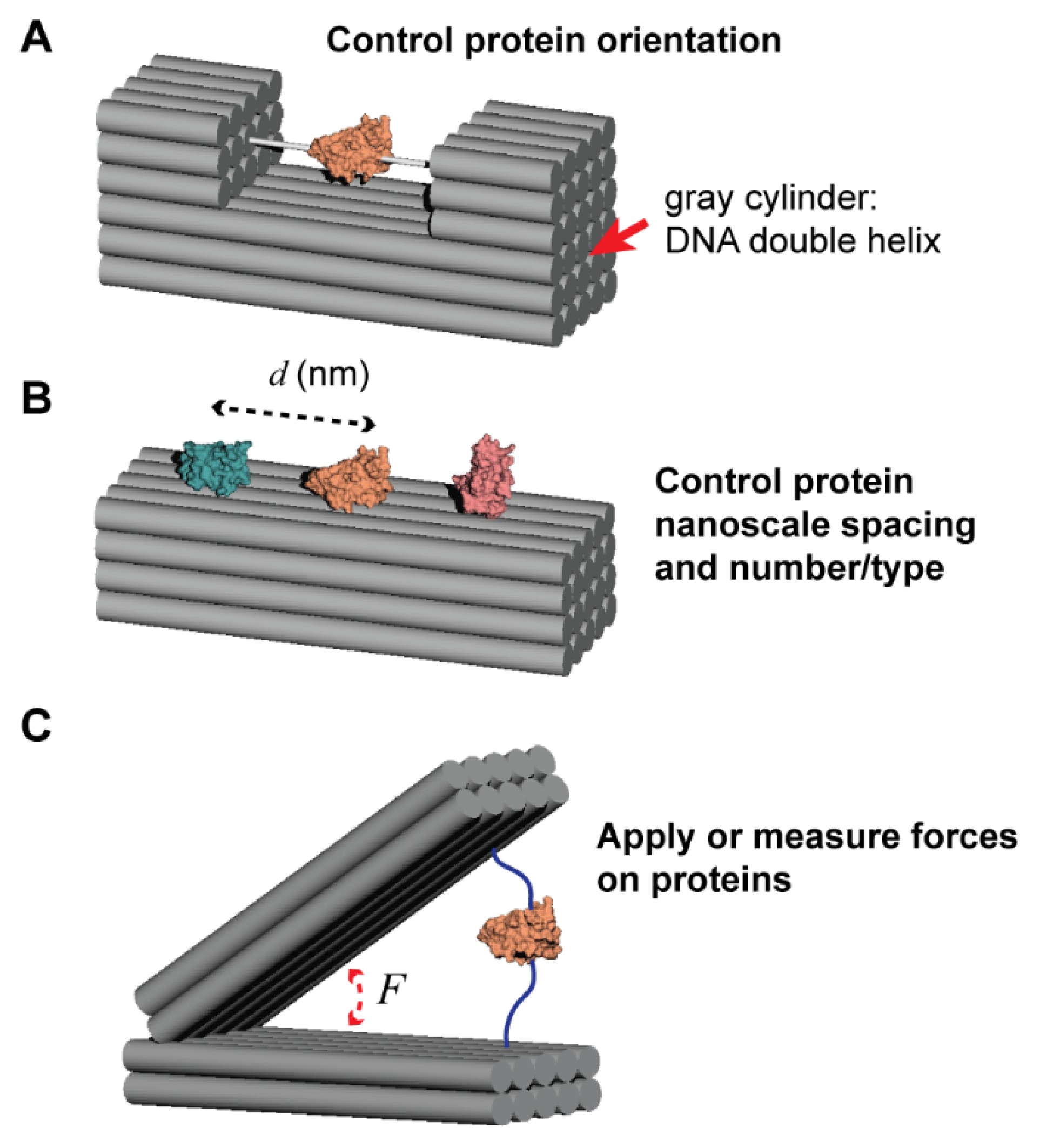Applsci 11 02802 g001