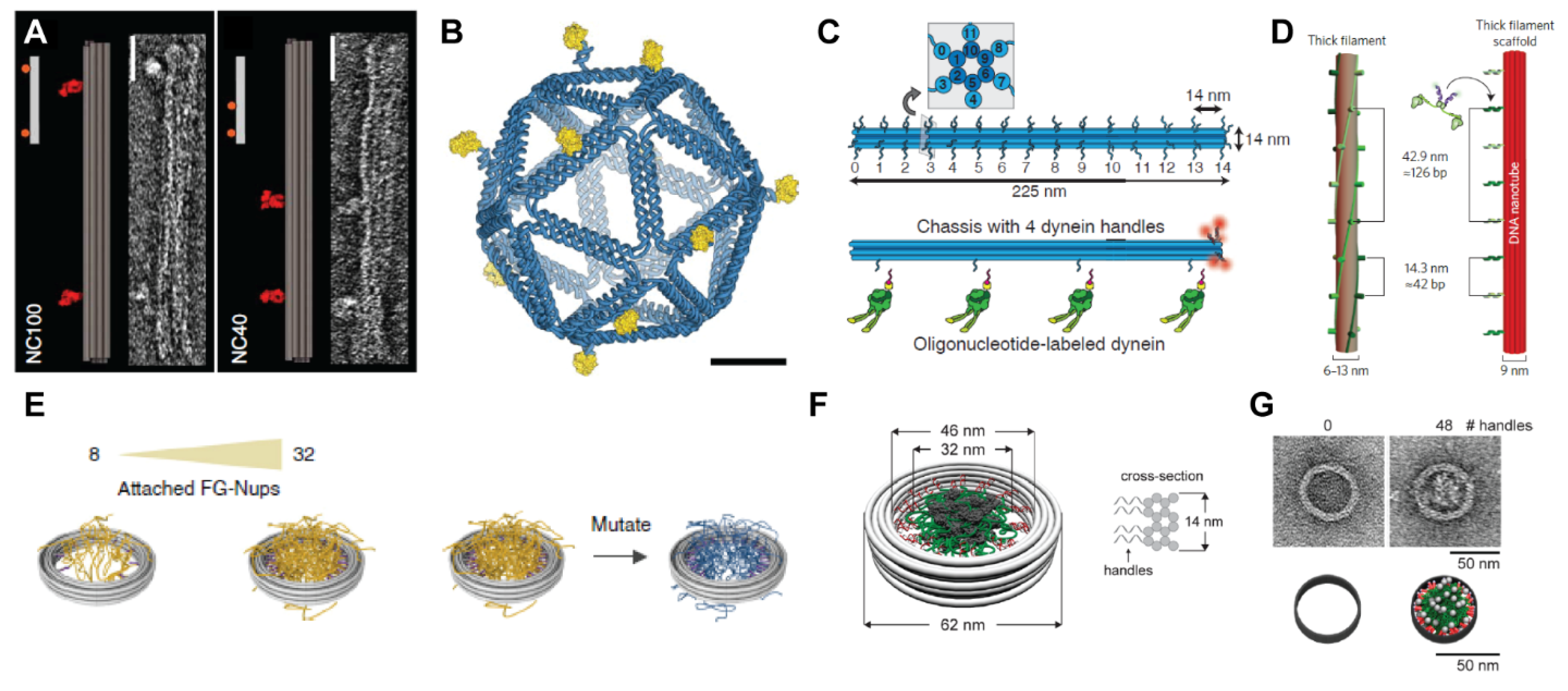 Applsci 11 02802 g004
