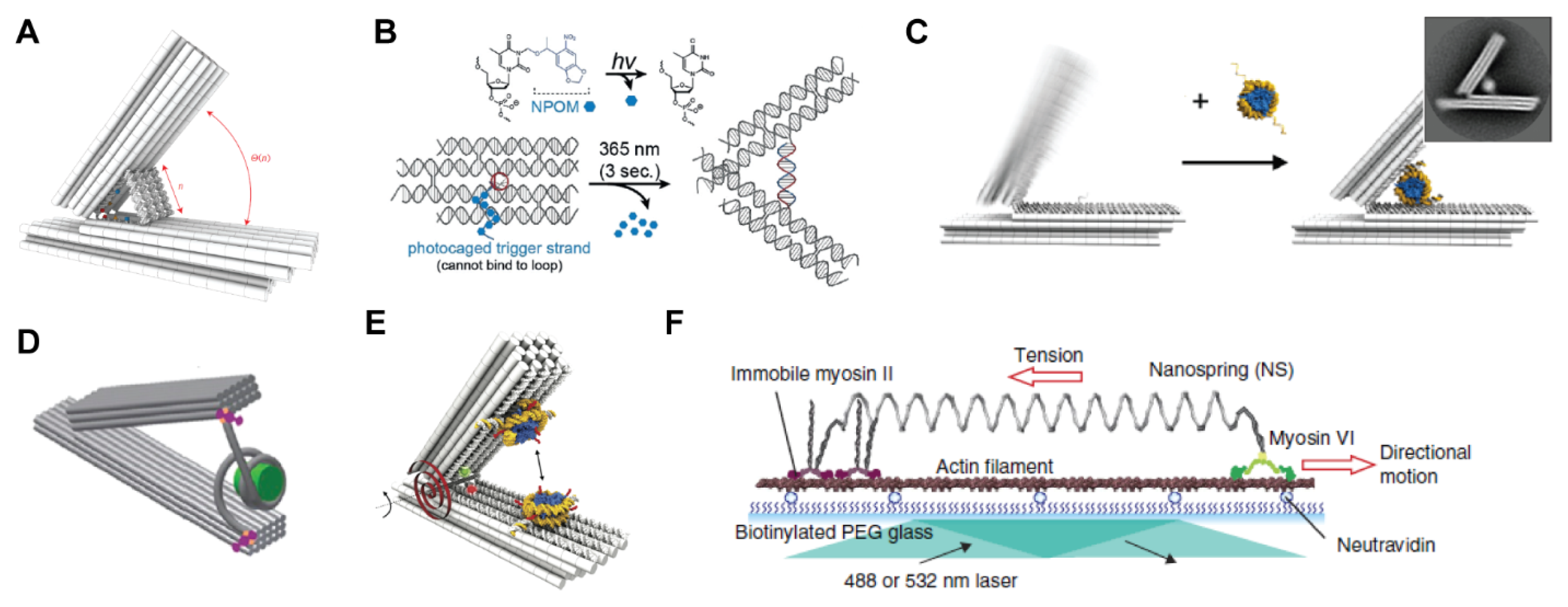 Applsci 11 02802 g005