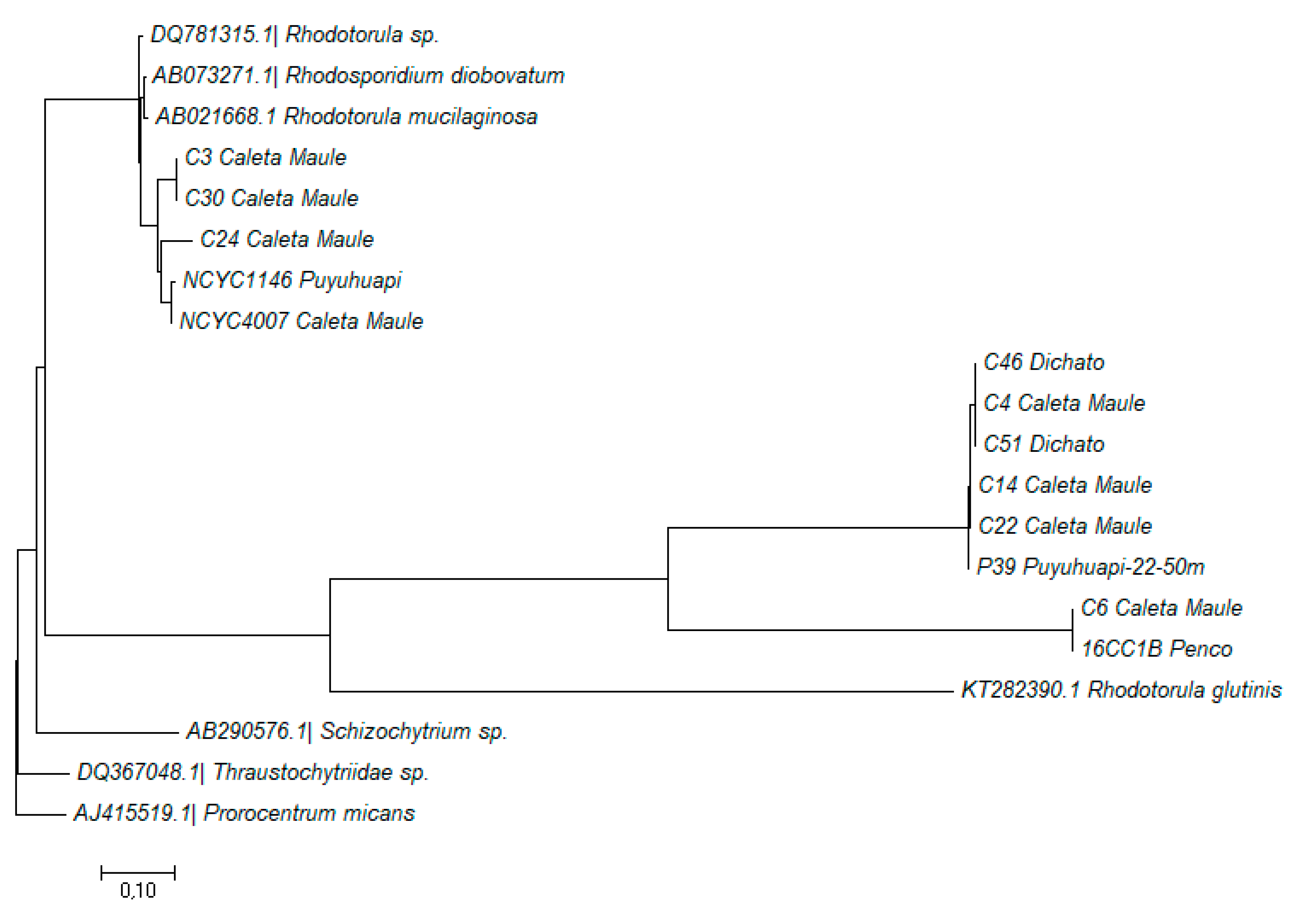 Applsci 11 02824 g001