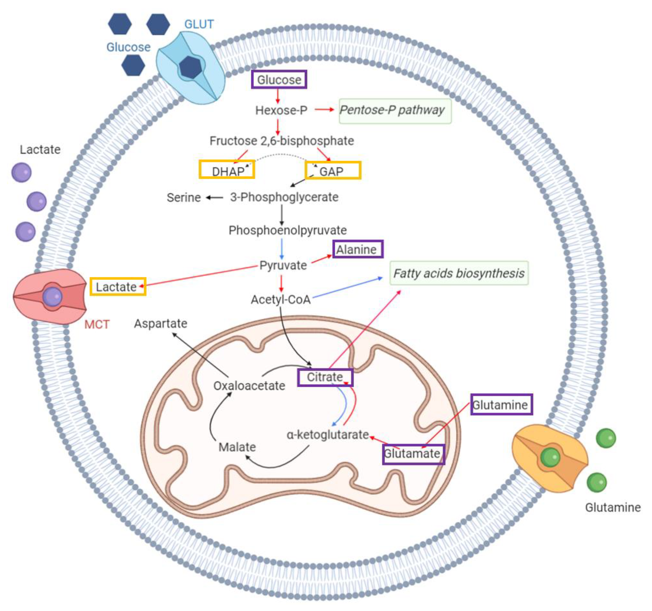 Applsci 11 02835 g005