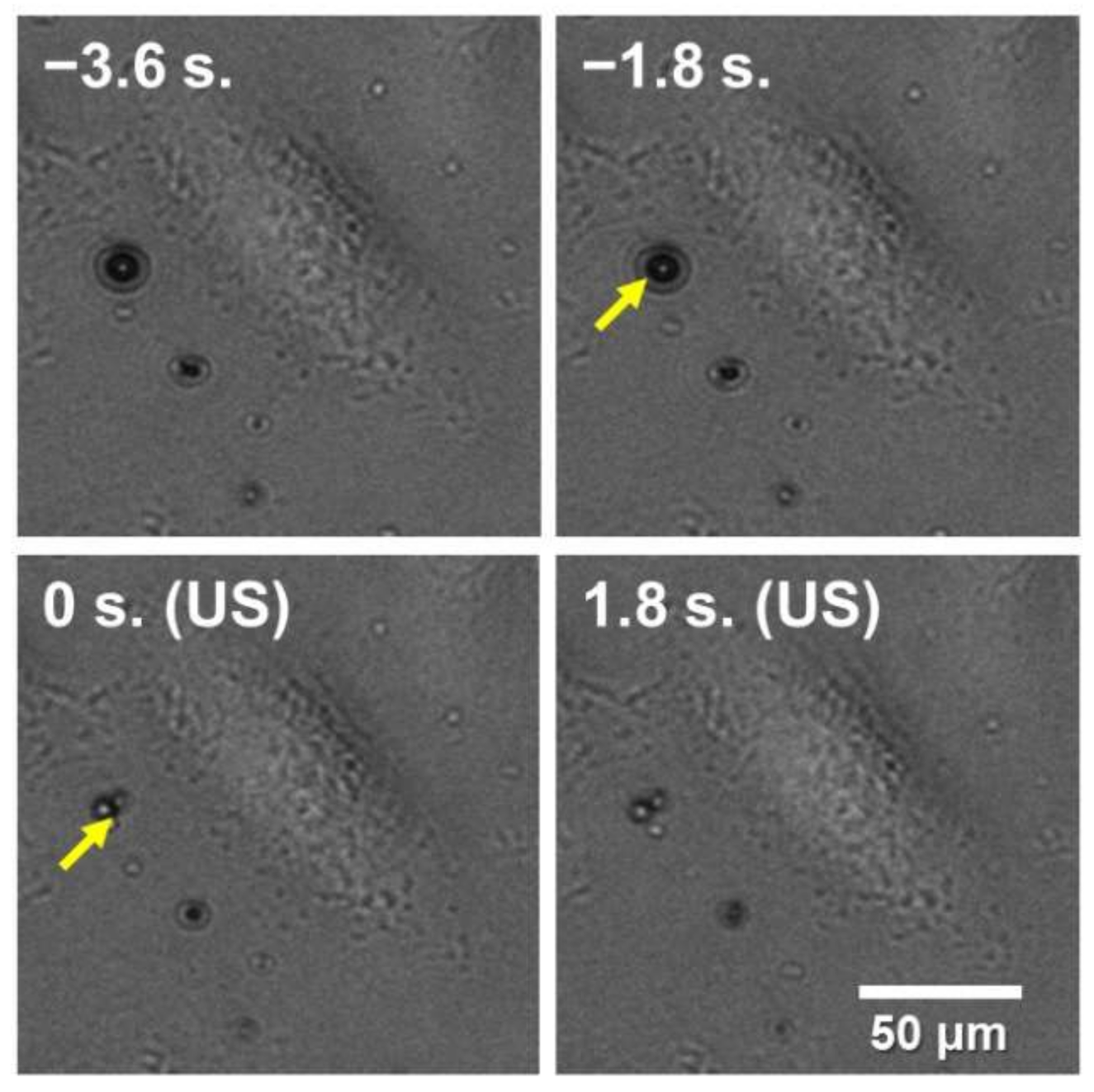 Applsci 11 02846 g002 Applsci 11 02846 g002