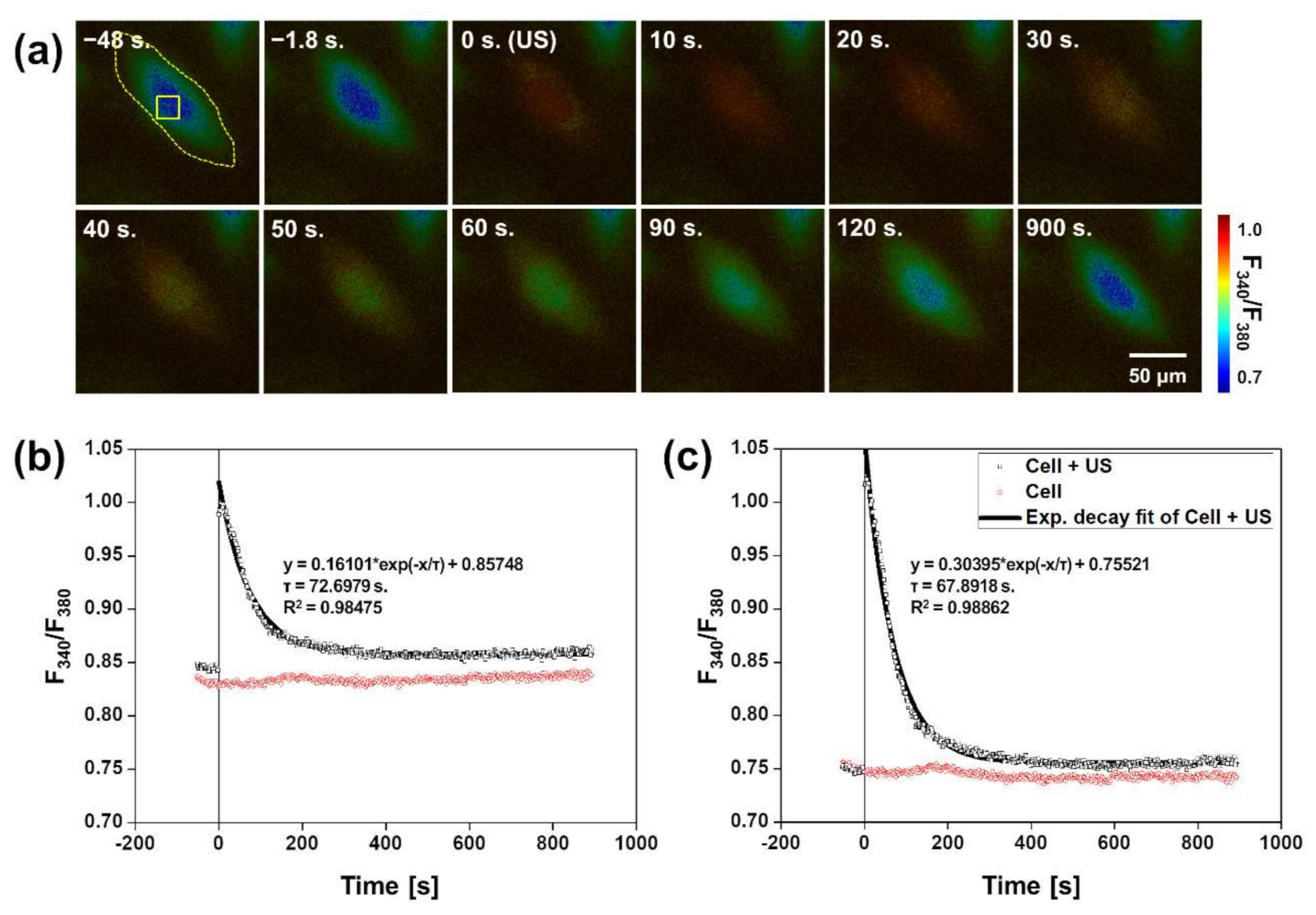 Applsci 11 02846 g003 Applsci 11 02846 g003