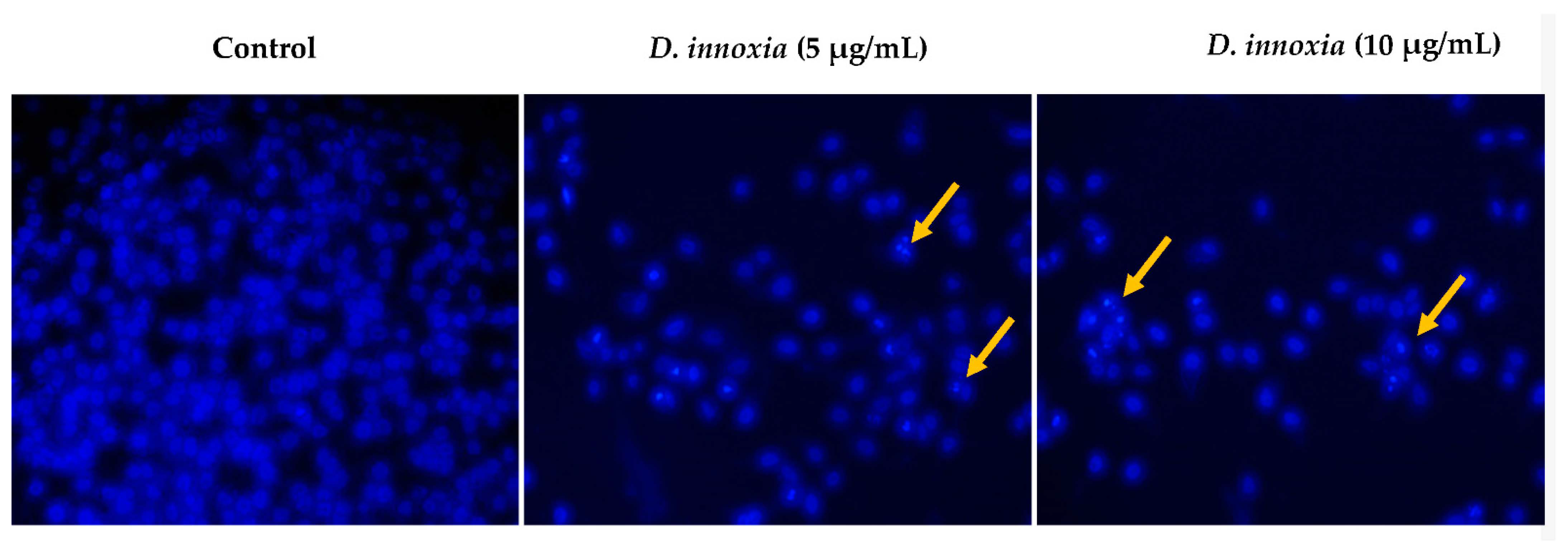 Applsci 11 02864 g005