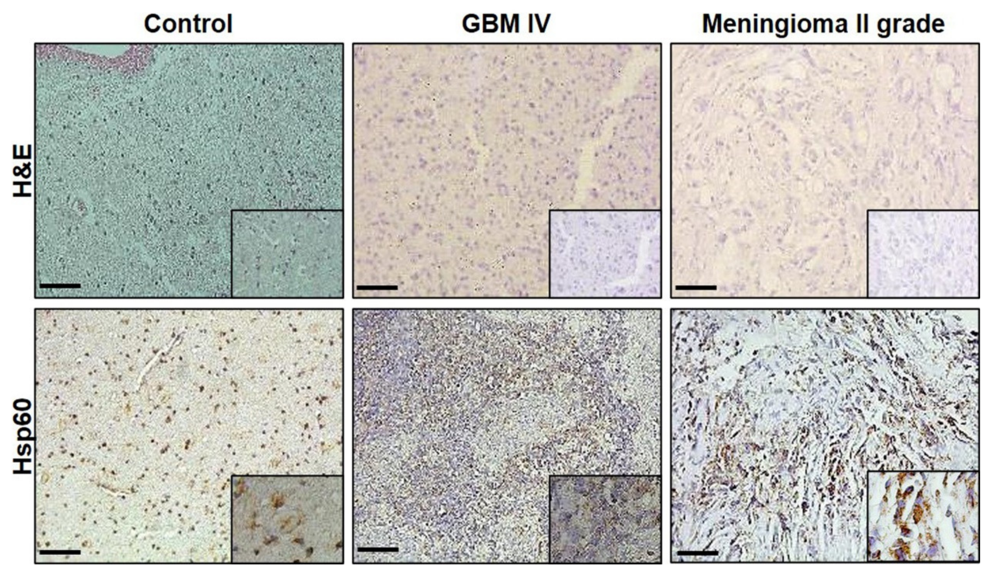 Applsci 11 02867 g001