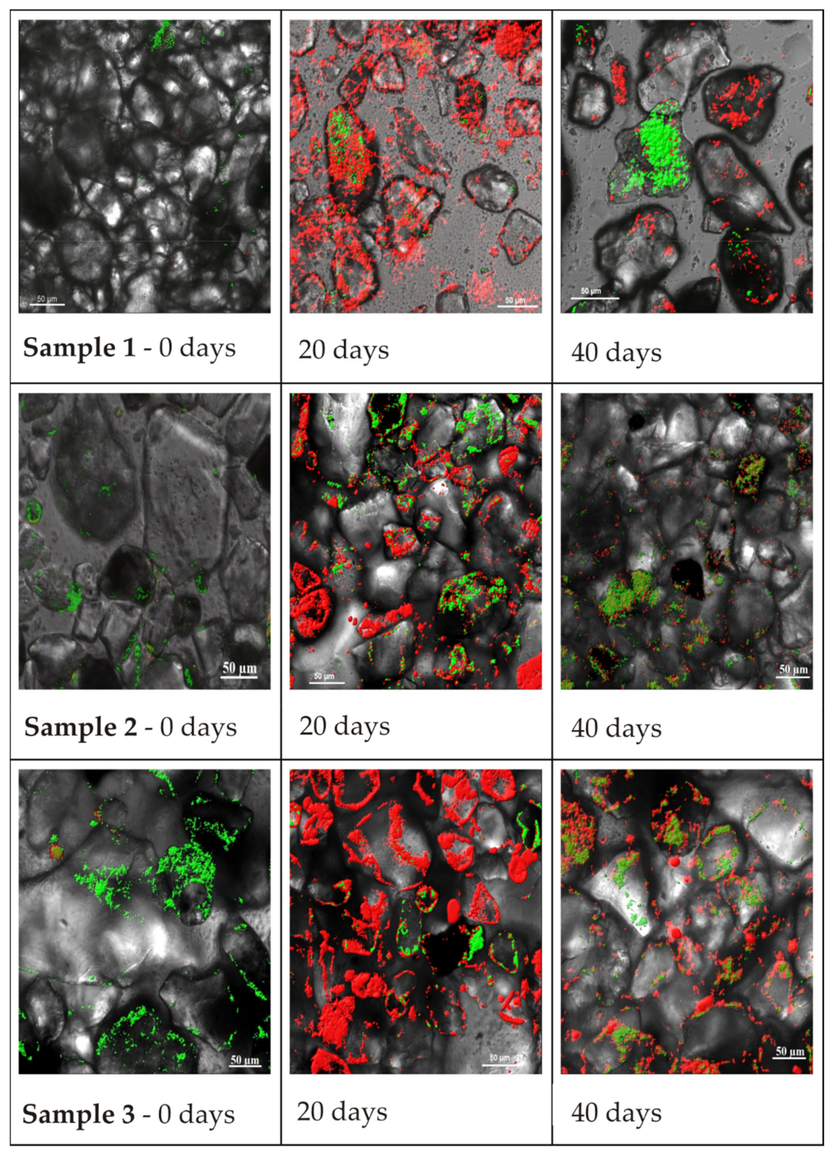 Applsci 11 02875 g004 Applsci 11 02875 g004