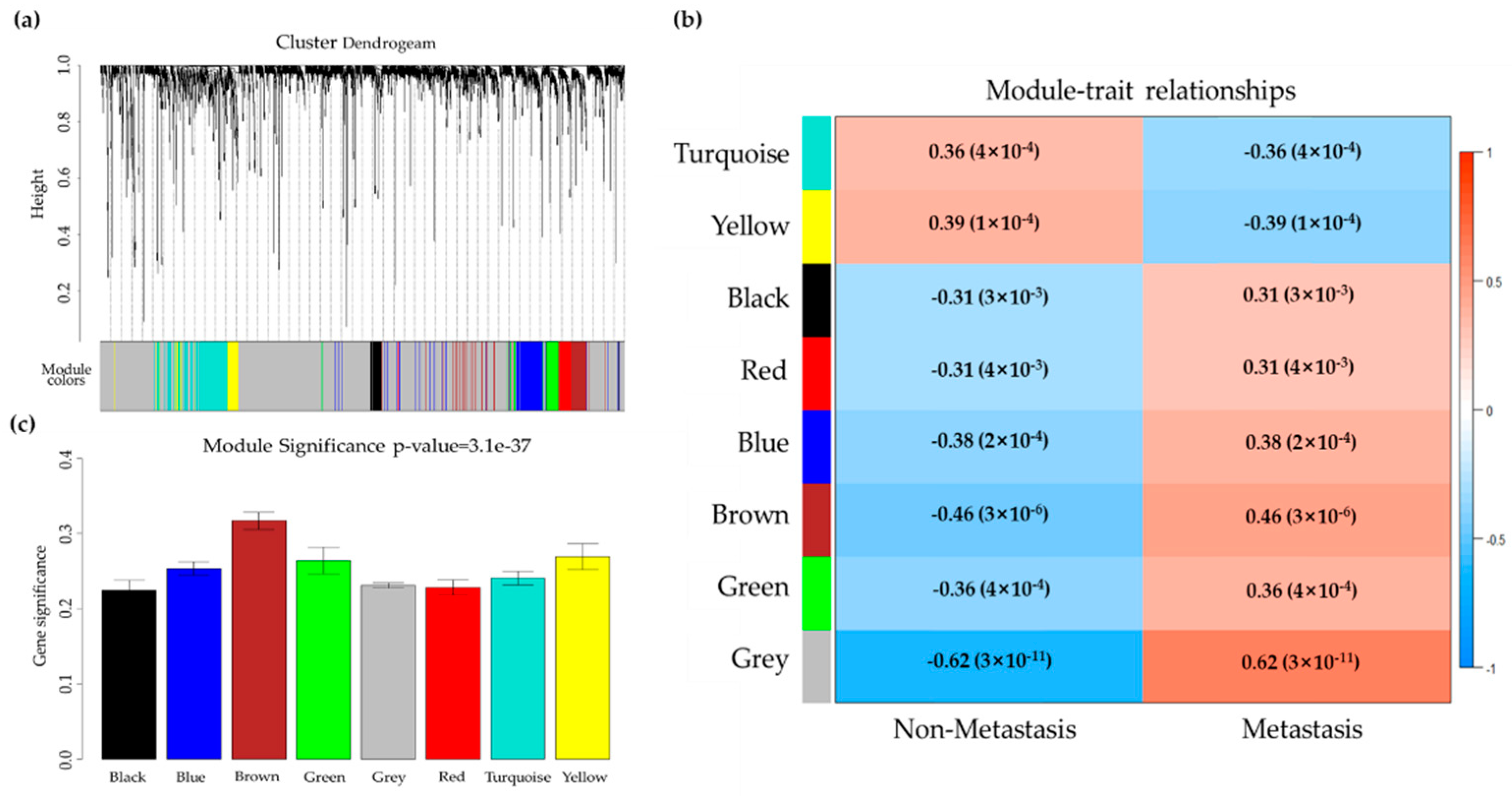 Applsci 11 02897 g005