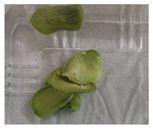 Applsci 11 02918 i001 Applsci 11 02918 i001