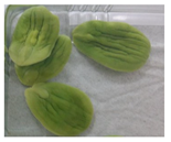 Applsci 11 02918 i002 Applsci 11 02918 i002