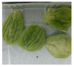 Applsci 11 02918 i004 Applsci 11 02918 i004