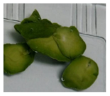 Applsci 11 02918 i005 Applsci 11 02918 i005