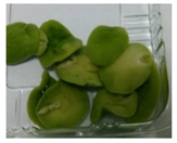 Applsci 11 02918 i006 Applsci 11 02918 i006