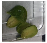 Applsci 11 02918 i007 Applsci 11 02918 i007