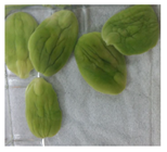 Applsci 11 02918 i008 Applsci 11 02918 i008