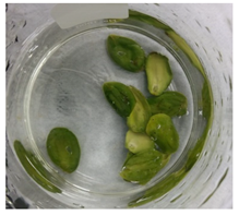 Applsci 11 02918 i009 Applsci 11 02918 i009