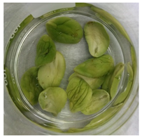 Applsci 11 02918 i010 Applsci 11 02918 i010