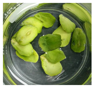 Applsci 11 02918 i013 Applsci 11 02918 i013