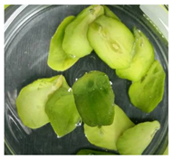 Applsci 11 02918 i015 Applsci 11 02918 i015