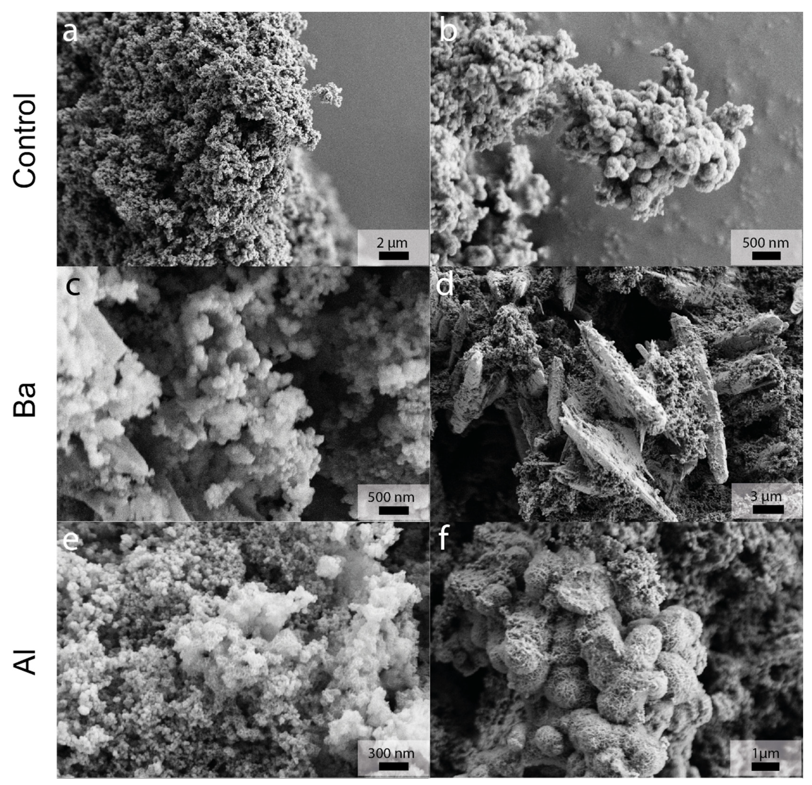 Applsci 11 02968 g004