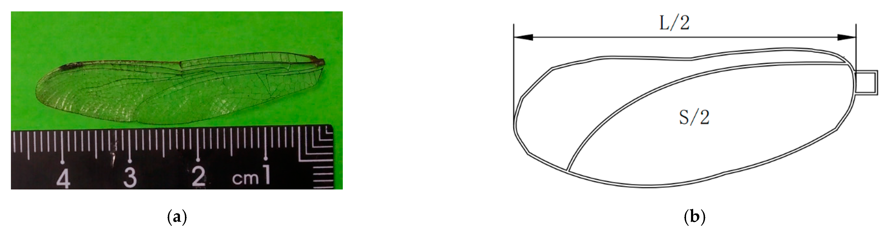 Applsci 11 02970 g002