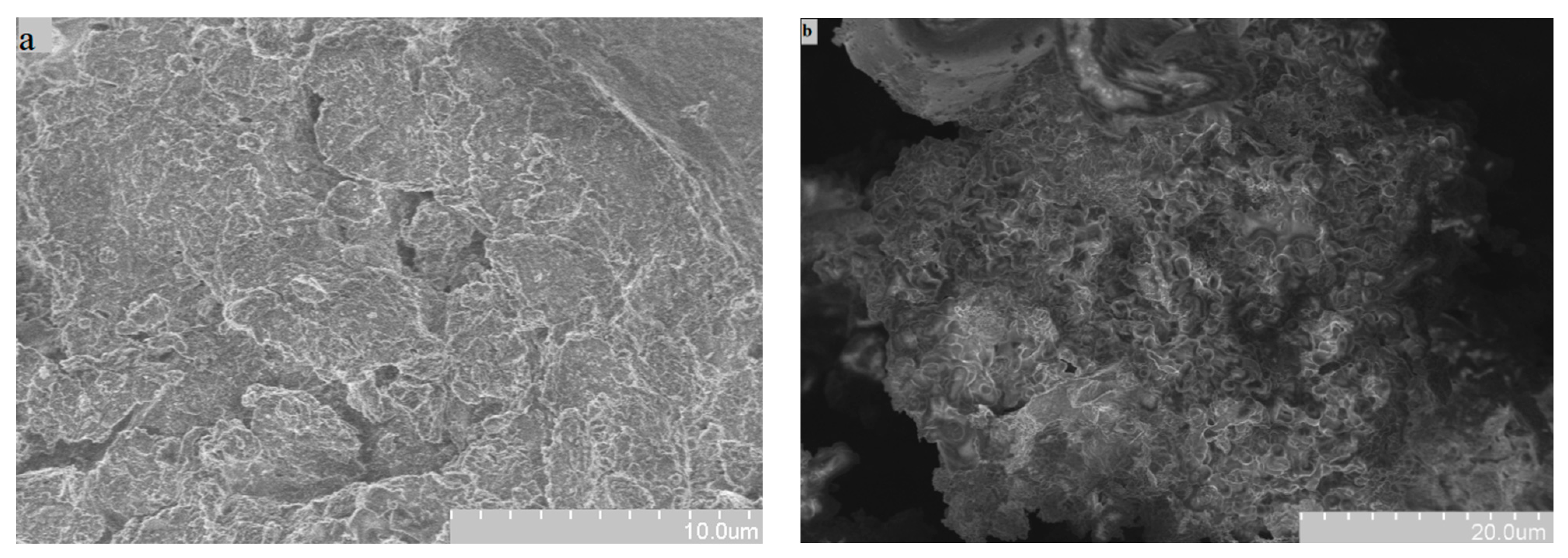 Applsci 11 03021 g002