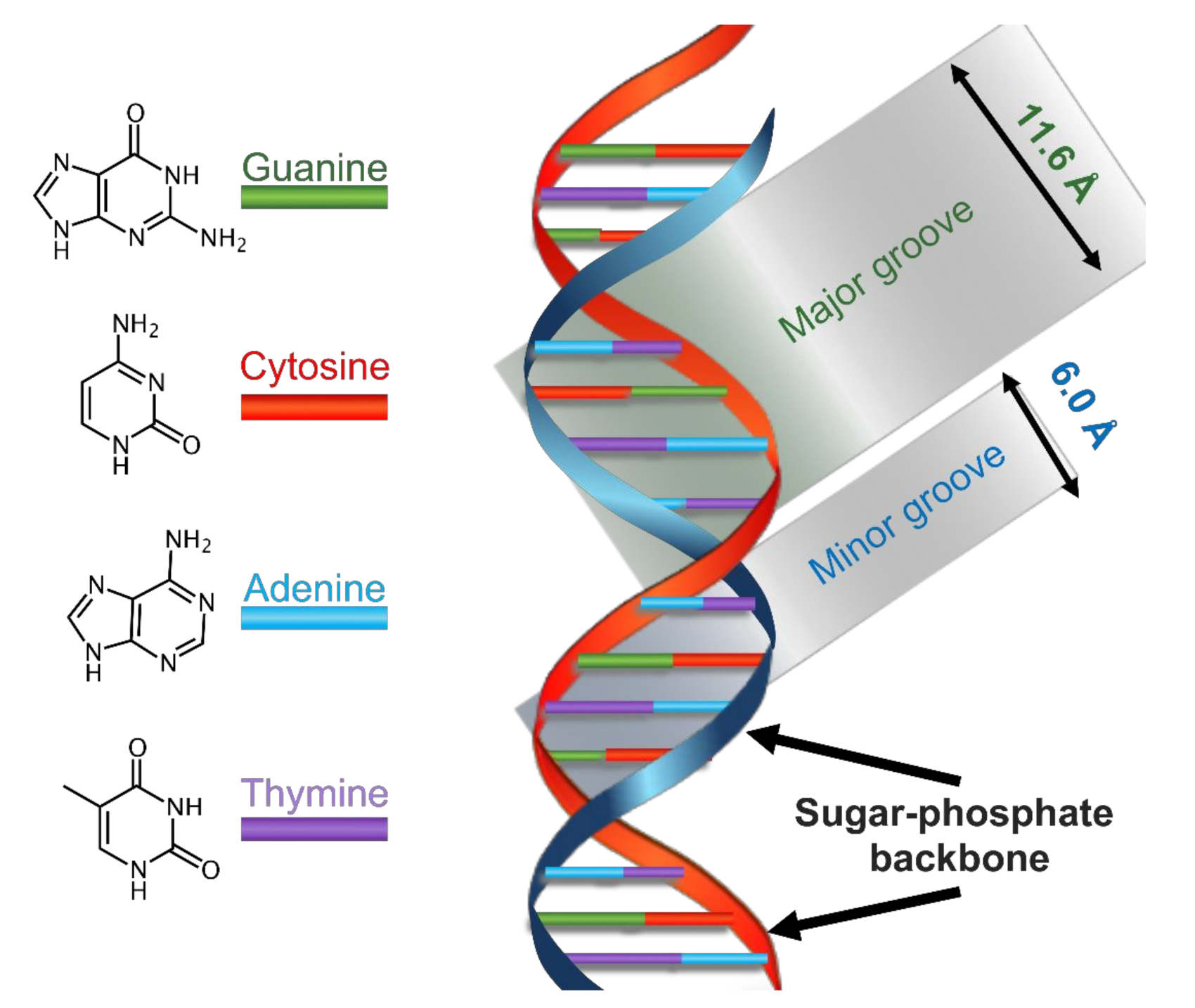 Applsci 11 03038 sch001 Applsci 11 03038 sch001