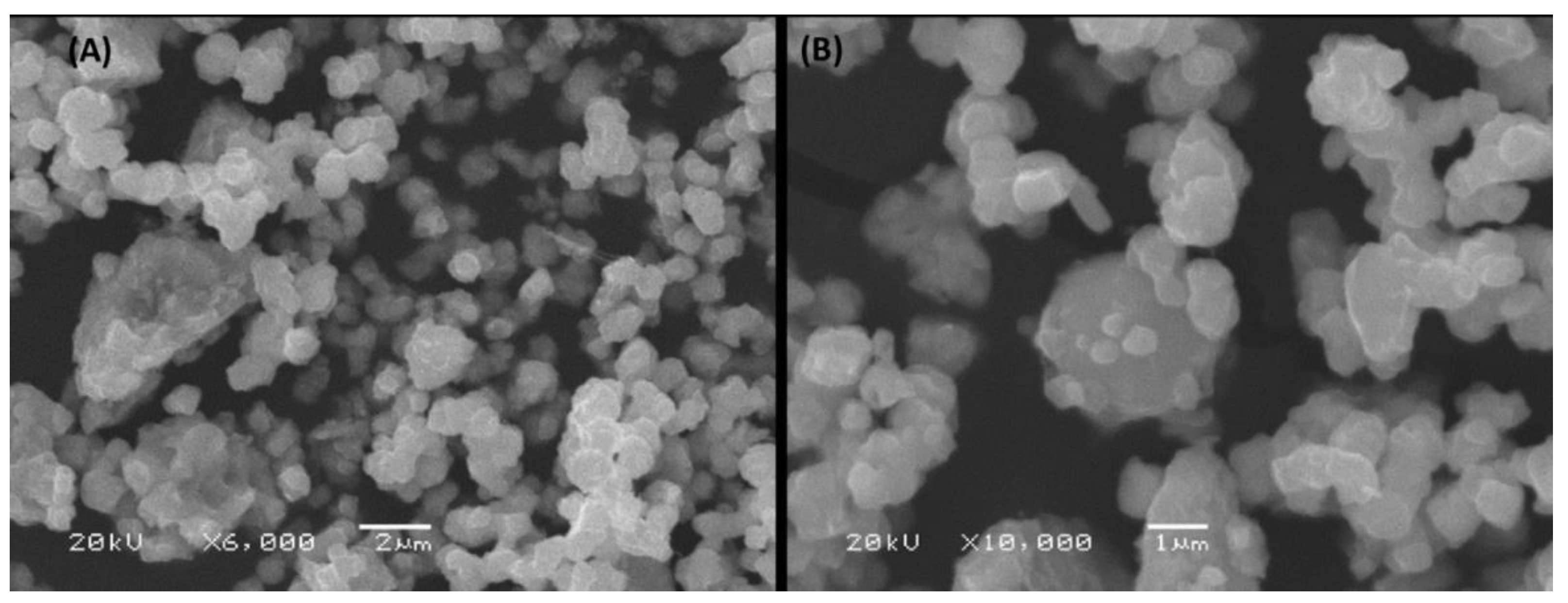 Applsci 11 03044 g001