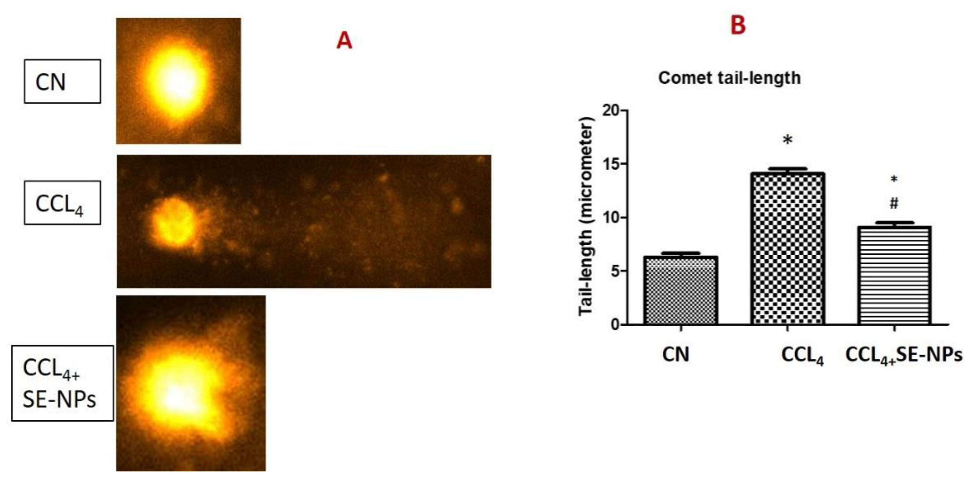 Applsci 11 03044 g007